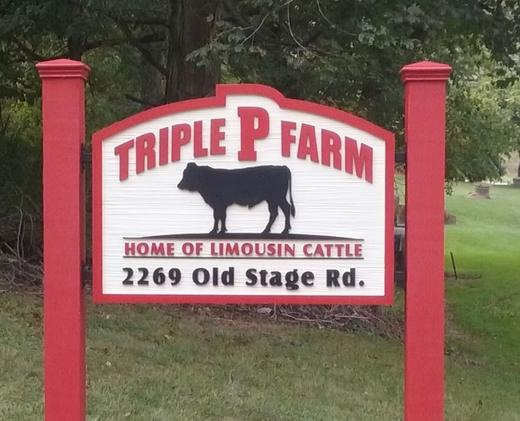 Custom dimensional business sign project 65